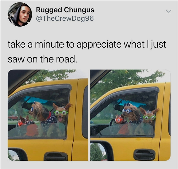 Funnyjokes;funnypictures