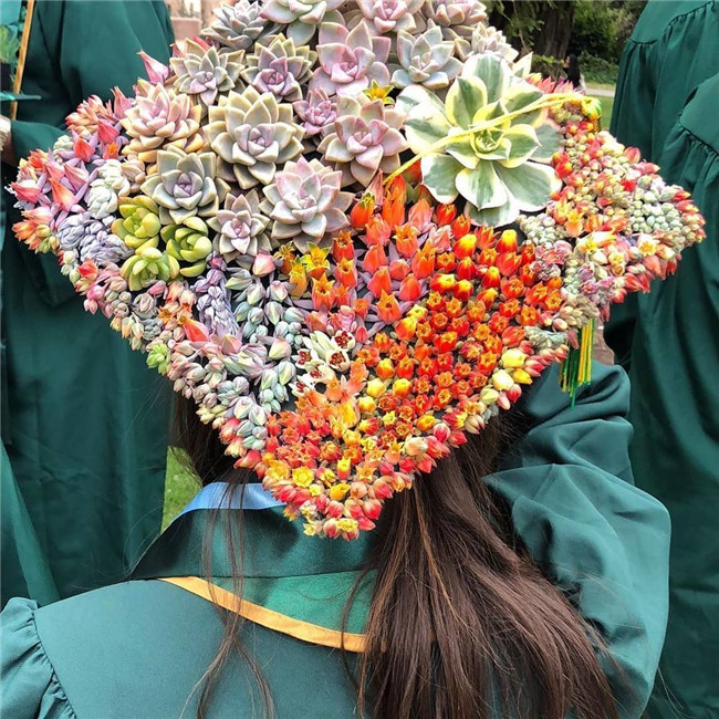 graduation;graduationcap