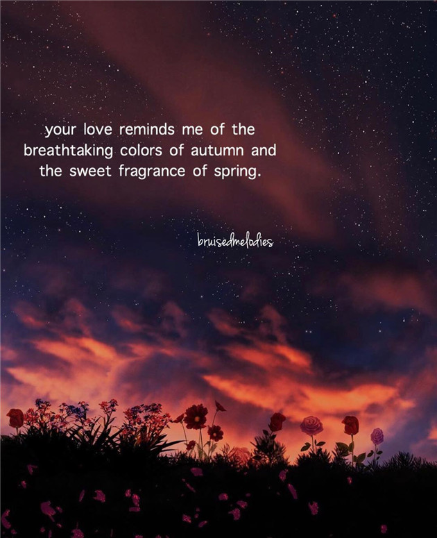 Love;lovequotes